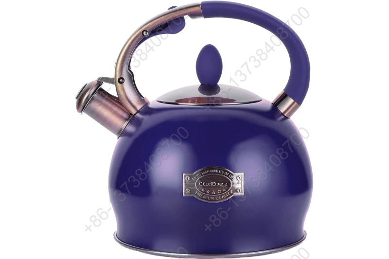 3L Stainless Steel Whistling Tea Kettle,Cool Touch Ergonomic Handle,Unique Button Control