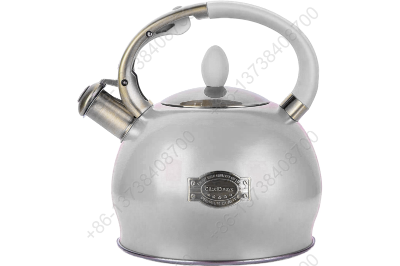 3L Stainless Steel Whistling Tea Kettle,Cool Touch Ergonomic Handle,Unique Button Control