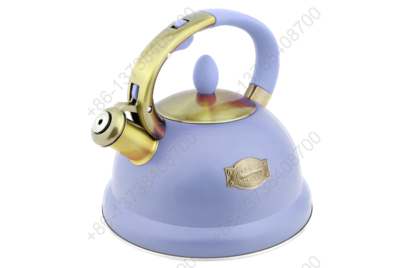 3L Stainless Steel Whistling Tea Kettle,Cool Touch Ergonomic Handle,Unique Button Control